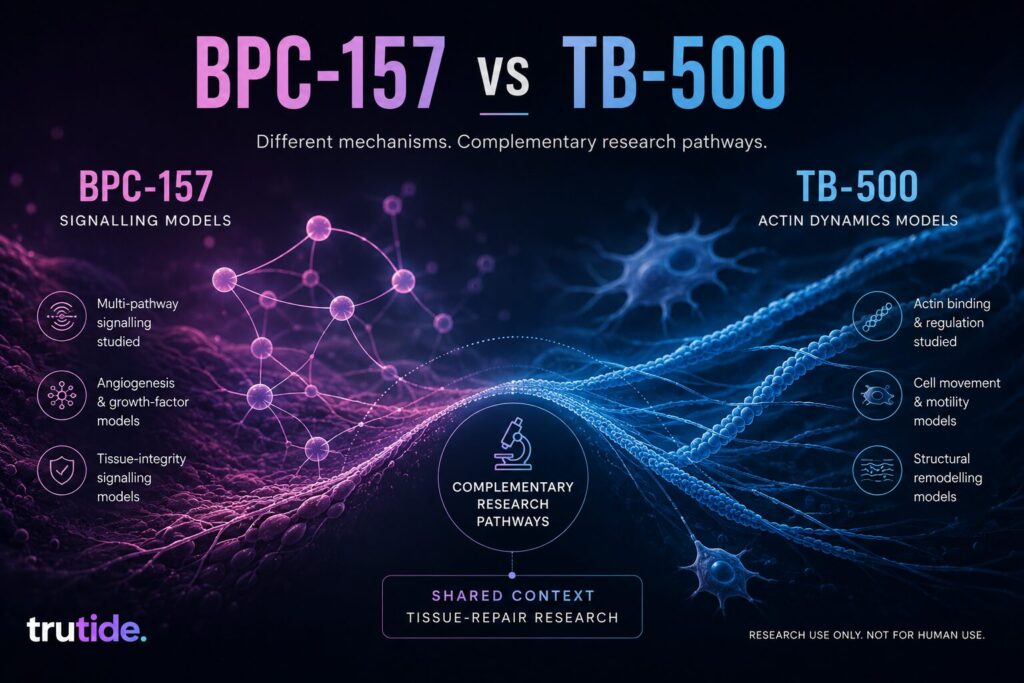 bpc vs tb500 infographic
