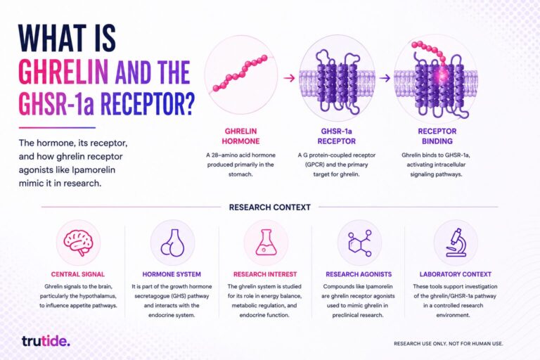ghrelin graphic